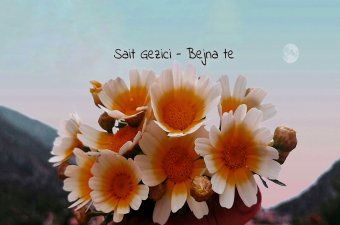 Sait Gezici  Bejna te